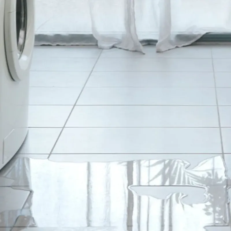 Appliance Leak Cleanup in Milan, MI