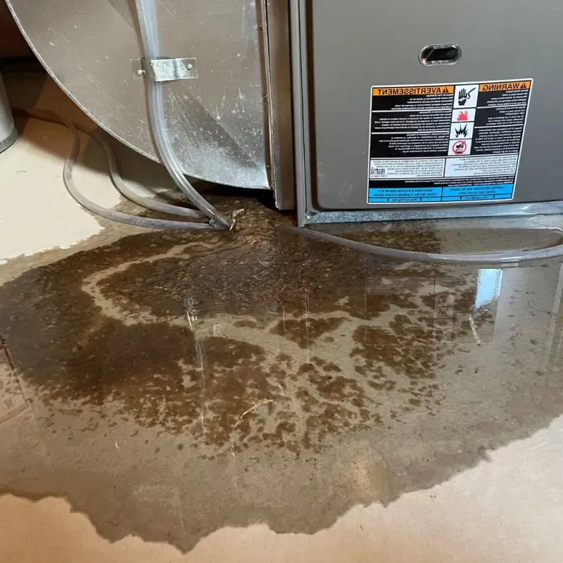 Pipe Burst and Leak Restoration in Milan, MI