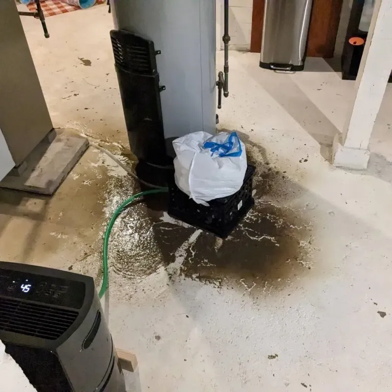 Sewage Backup Cleanup Service in Milan, MI